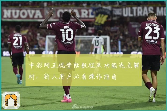 中彩网正规登陆教程及功能亮点解析，新人用户必看操作指南