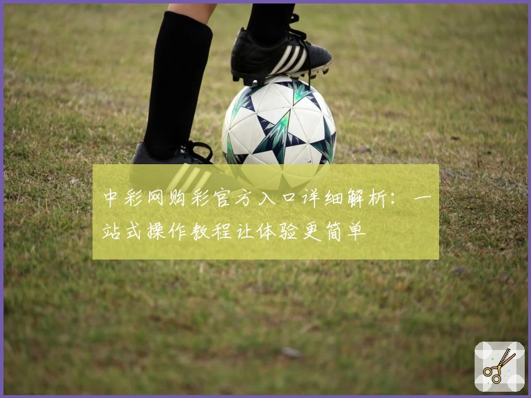 中彩网购彩官方入口详细解析：一站式操作教程让体验更简单