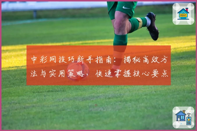 中彩网技巧新手指南：揭秘高效方法与实用策略，快速掌握核心要点