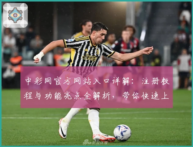 中彩网官方网站入口详解：注册教程与功能亮点全解析，带你快速上手