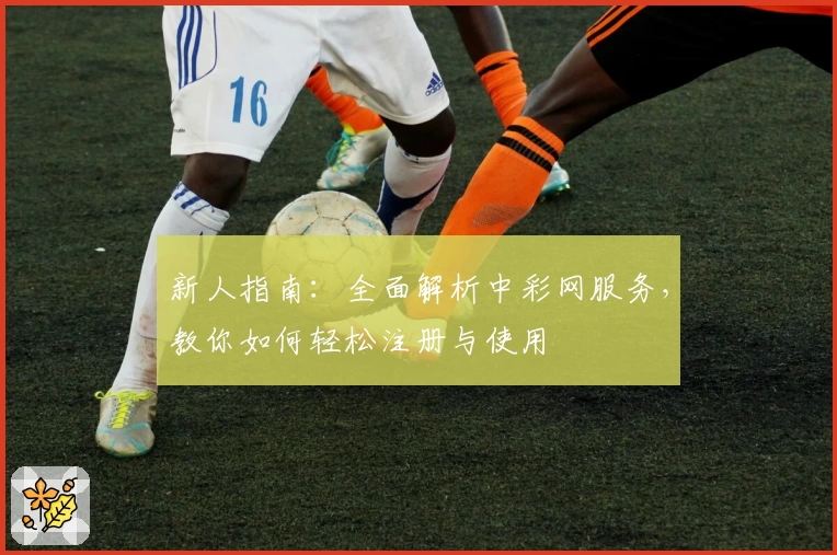 新人指南：全面解析中彩网服务，教你如何轻松注册与使用