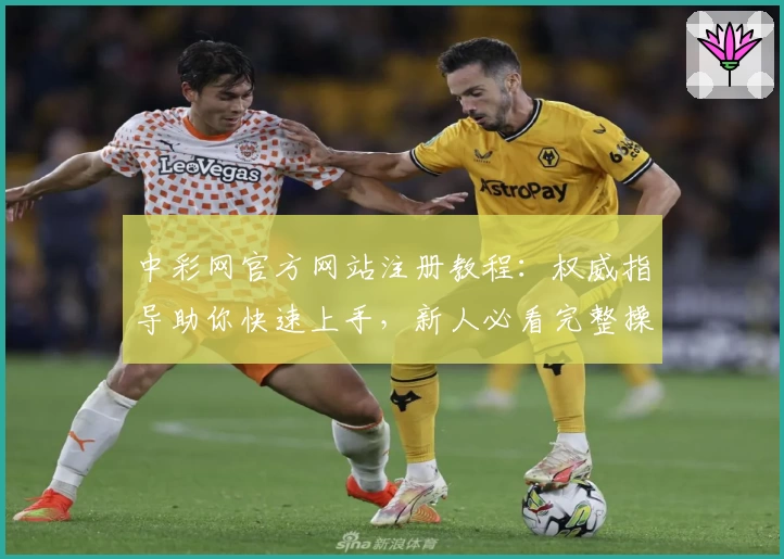 中彩网官方网站注册教程：权威指导助你快速上手，新人必看完整操作指南