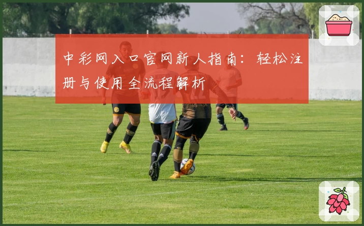 中彩网入口官网新人指南：轻松注册与使用全流程解析